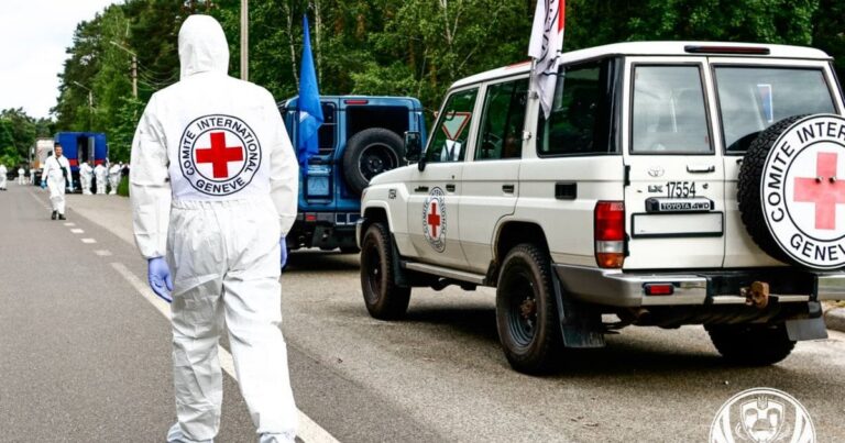 Повернення Героїв: В Україну Привезли Тіла 522 Захисників. Церемонія Шани та Ідентифікації