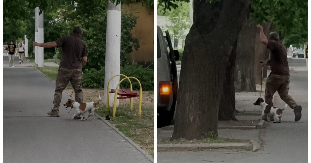 "З переламаними лапами і в крові": в Одесі працівники ТЦК викрали і викинули чужого собаку (відео)