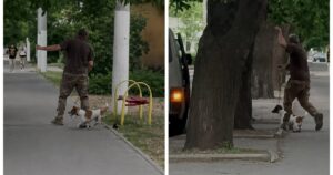 Жорстоке Поводження з Тваринами в Одесі: Чи Винні Працівники ТЦК? Розкриваємо Всі Деталі Скандалу