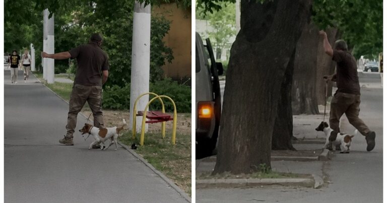 Жорстоке Поводження з Тваринами в Одесі: Чи Винні Працівники ТЦК? Розкриваємо Всі Деталі Скандалу