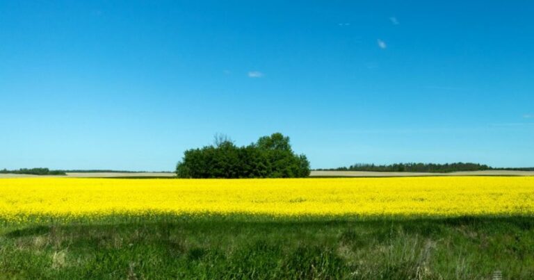 |||Африканська спека йде в Україну: найнебезпечніші дати та прогнози синоптиків…