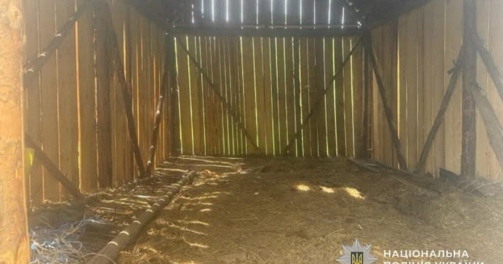 На Львівщині затримали чоловіка за підозрою у зґвалтуванні малолітньої: що відомо — Львів