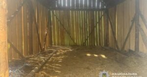 На Львівщині затримали чоловіка за підозрою у зґвалтуванні малолітньої: що відомо — Львів