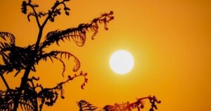 Україну Накриває Пекельна Спека: Коли Вдарить +40°C і Як Підготуватися?