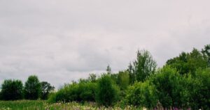 Київ готується до літньої негоди: детальний прогноз погоди на 9 червня
