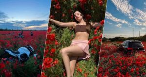 Макові Поля: Краса чи Знищення? Бурхлива Дискусія Українців в Інтернеті