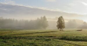 Негода йде в Україну: синоптики попереджають про грози, град та шквали 24 червня!