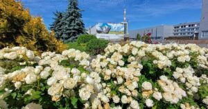 Чорнобильська АЕС потопає у квітах: який вигляд має станція зараз (фото)