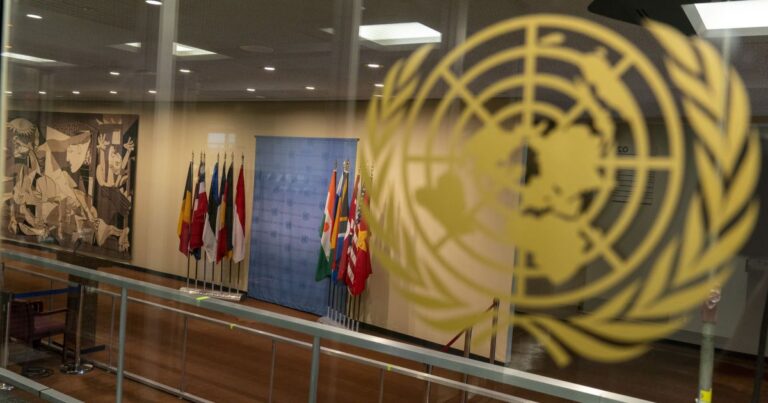 Радбез ООН: Засідання у День Незалежності України з приводу російської війни