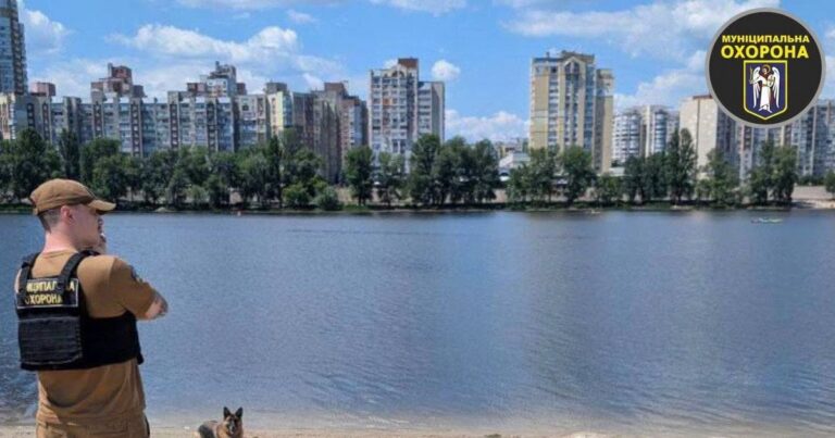 Небезпечний Відпочинок на Пляжі: Вівчарка Без Повідця Спричинила Переполох у Києві, Прибула Поліція!