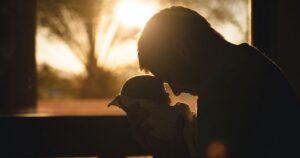 День батька — Буданов, Свириденко й Сирський звернулися до українських татів на фронті — Укрaїнa