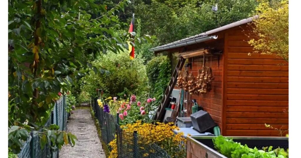 Українці в Німеччині: біженка розповіла, за що можуть оштрафувати або виселити — Світ Українці в Німеччині: біженка розповіла, за що можуть оштрафувати або виселити — Світ