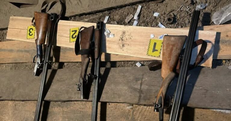 Нещасливе Полювання на Житомирщині: Мисливець Помилково Поранений Товаришів, Один у Реанімації