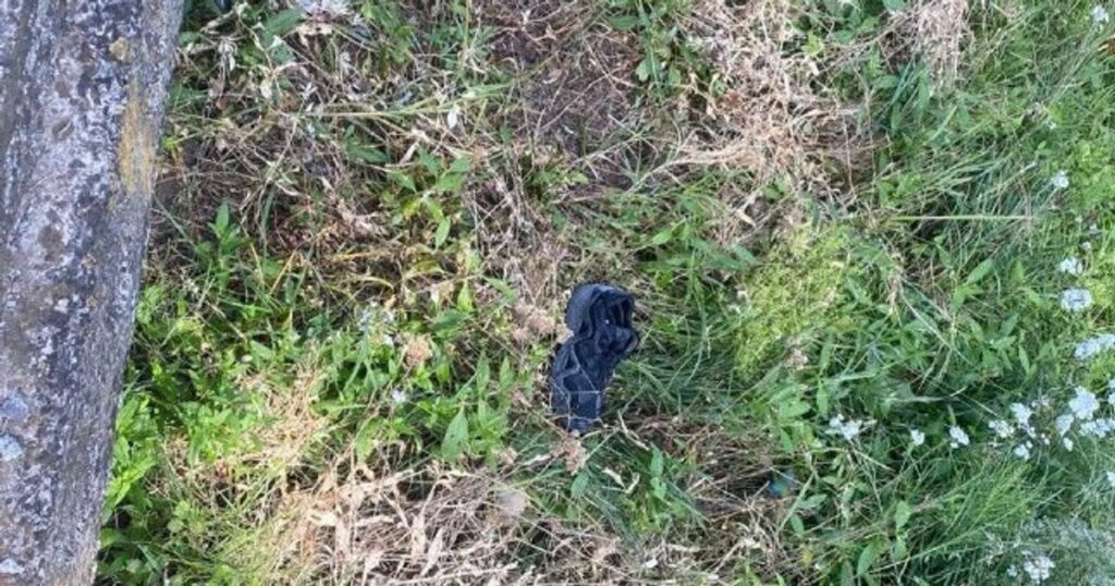 Поліція розслідує обставини загибелі 14-річного зачепера на залізниці у Київській області — Київ Поліція розслідує обставини загибелі 14-річного зачепера на залізниці у Київській області — Київ