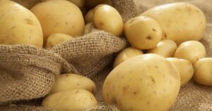 Ціни на картоплю — фермери знову знижують вартість через новий врожай — Укрaїнa