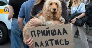 Креативні протести: українці вимагають скасувати відставку Федорова, залучаючи дітей та домашніх улюбленців