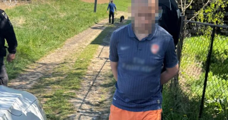 Трагедія на Львівщині: Син до смерті забив матір через кошенят