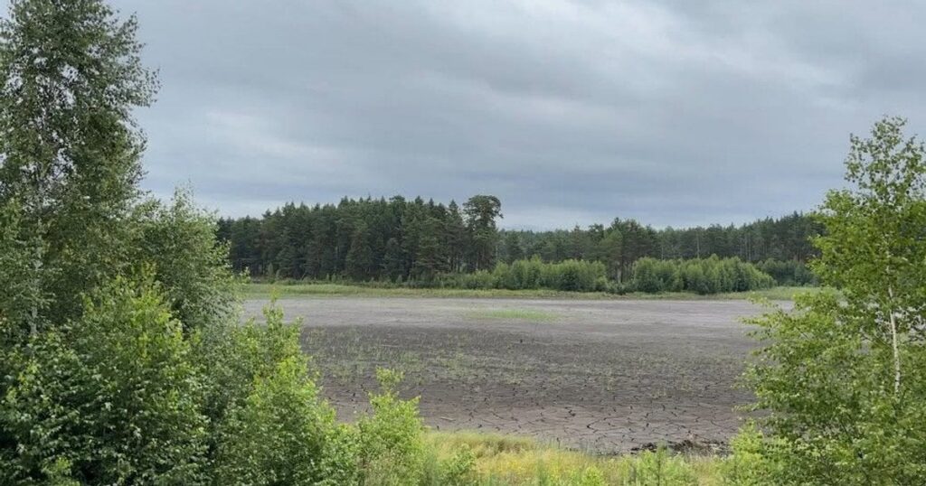Святе озеро на Хмельниччині повністю висохло - у чому причина — Укрaїнa