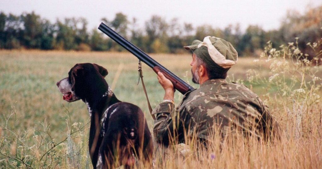 Заборона полювання на тварин — UAnimals і відомі українці звернулися до уряду з вимогою — Укрaїнa Заборона полювання на тварин — UAnimals і відомі українці звернулися до уряду з вимогою — Укрaїнa