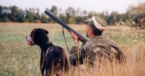 Заборона полювання на тварин — UAnimals і відомі українці звернулися до уряду з вимогою — Укрaїнa