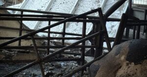 Російські дрони атакували молочну ферму на Сумщині: загинули десятки корів
