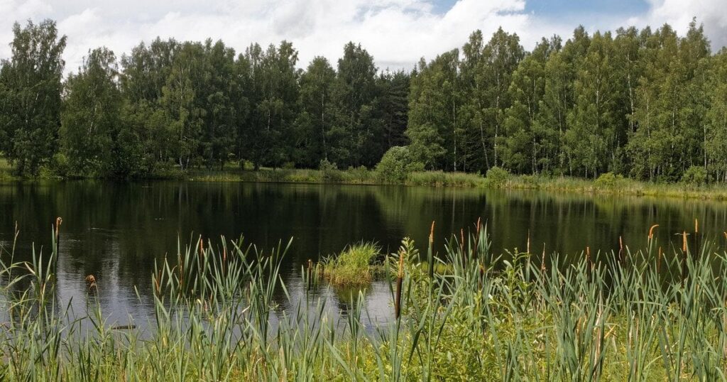 Україну накриває небезпечна погода: синоптик попередив, які регіони зачепить найбільше Україну накриває небезпечна погода: синоптик попередив, які регіони зачепить найбільше