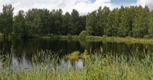 В Україні очікується зміна погоди: синоптик прогнозує спеку та локальні дощі