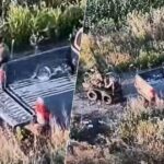 Командир роти без бронежилета врятував поранених бійців від повторної атаки російських дронів