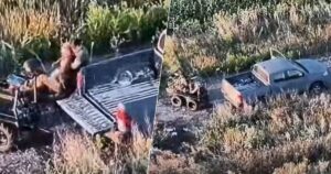 Росіяни полювали на поранених бійців: командир роти особисто врятував побратимів (відео)