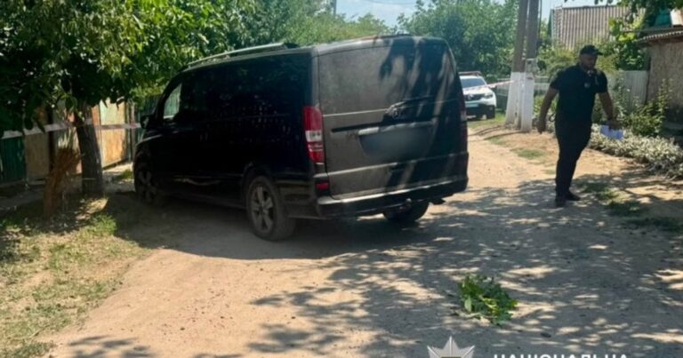 Смертельна ДТП на Одещині: мати не помітила власного однорічного сина під час виїзду з подвір’я