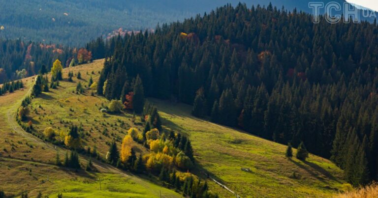 Карпати зафіксували незначні підземні поштовхи: деталі події