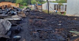 Жахлива пожежа у притулку «Сіріус»: загинули вісім собак, знищено вольєри та кухню