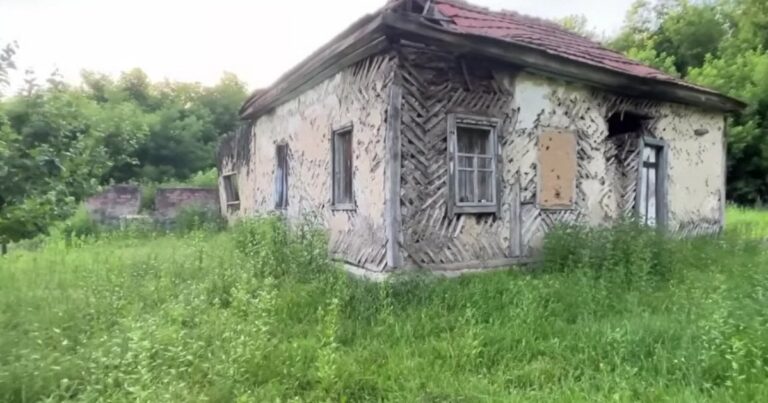 Село Новоселиця: Пустка Серед Лісу, Де Дика Природа Повертає Своє