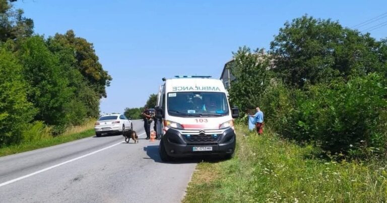 П’яна ДТП на Львівщині: водій Mercedes збив військового у відпустці на очах у сина