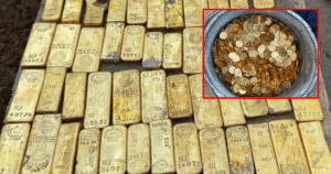 Будівельники у підвалі будинку знайшли великий ящик із золотом — чому у них забрали скарб — Світ