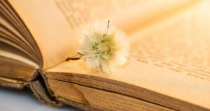 Укрзалізниця запровадила замовлення книжок під час купівлі квитків – як скористатися та на яких рейсах — Укрaїнa