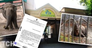 41 смерть за рік та звинувачення "у катівні": чи є порятунок для тварин Одеського зоопарку