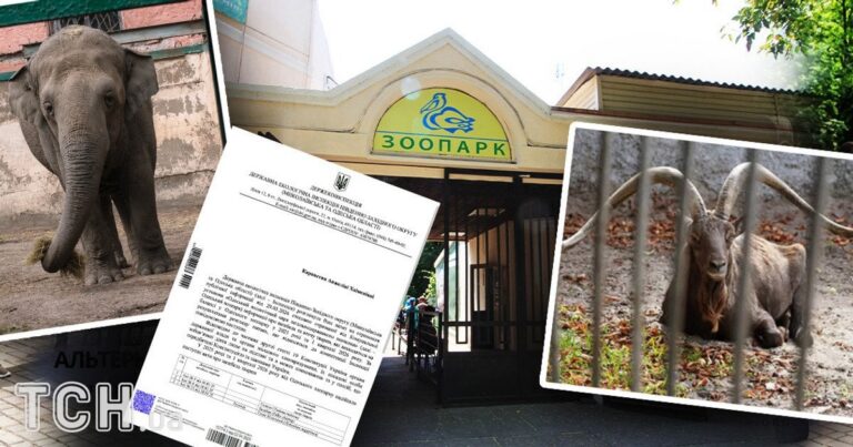 Скандал навколо Одеського зоопарку: 41 тварина загинула за рік, активісти вимагають порятунку