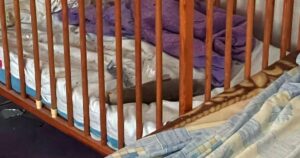 Смертельна небезпека з неба: російський дрон влучив у ліжечко немовляти на Херсонщині, але сталося диво