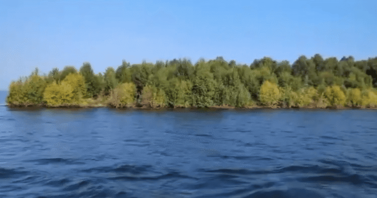 Загадковий Плавучий Острів на Озері в Канаді: Від Появи до Безслідного Зникнення