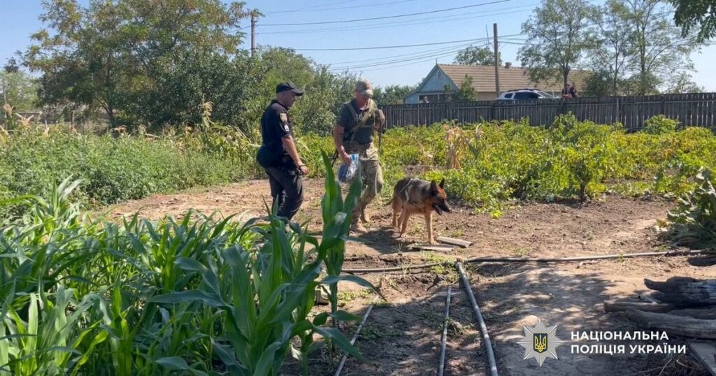 Зниклу 15-річну дівчину знайшли мертвою: перші деталі від поліції і хто може бути вбивцею Зниклу 15-річну дівчину знайшли мертвою: перші деталі від поліції і хто може бути вбивцею