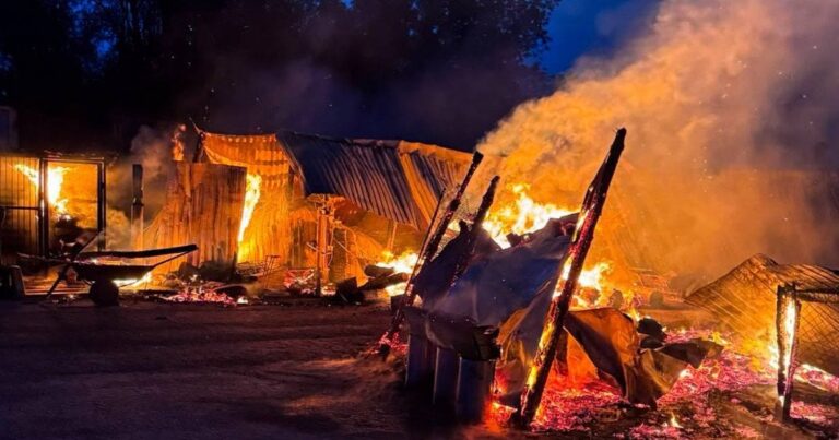 Пожежа у притулку “Сіріус”: трагедія, причини та наслідки для тварин