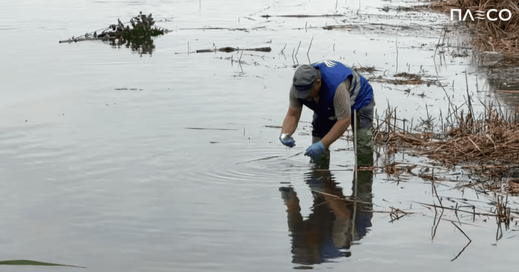 Забруднення озера Кирилівське у Києві — після обстрілу у водойму потрапили нафтопродукти — Київ Забруднення озера Кирилівське у Києві — після обстрілу у водойму потрапили нафтопродукти — Київ
