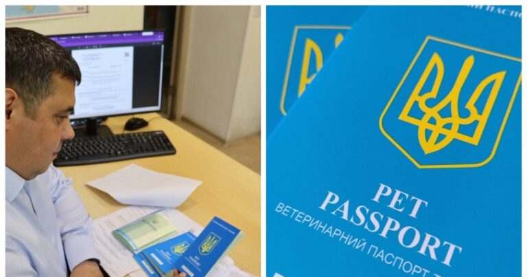Нові ветеринарні паспорти для тварин в Україні: все, що вам потрібно знати