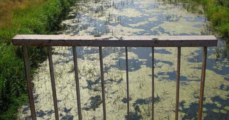 Турський канал на Волині: стародавній шлях до двох морів