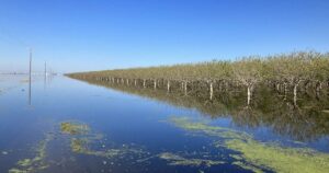 Озеро Па’аші — у Каліфорнії раптово повернулася велика вода після 130 років зникнення — Цікaвинки