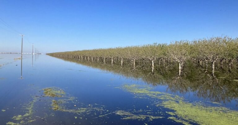 Озеро Па’аші: Велика вода повертається до Каліфорнії після 130 років зникнення