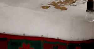 Перетворення занедбаної хати на дім мрії: історія родини з Харківщини