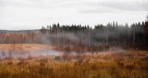 |||Осінь набирає сили: Україну чекають дощі, грози, шквали та відчутне…