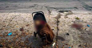 Удар дронів РФ по парку в Новій Водолазі забрав життя немовляти та двох жінок — Укрaїнa